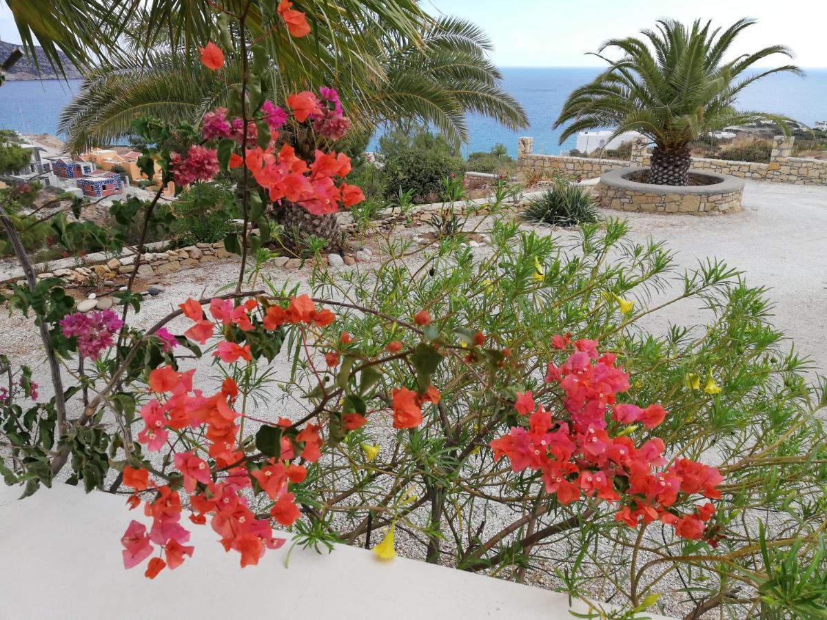 Tranquil Villa With Sea View In Ammopi Karpathos Amoopi Zewnętrze zdjęcie