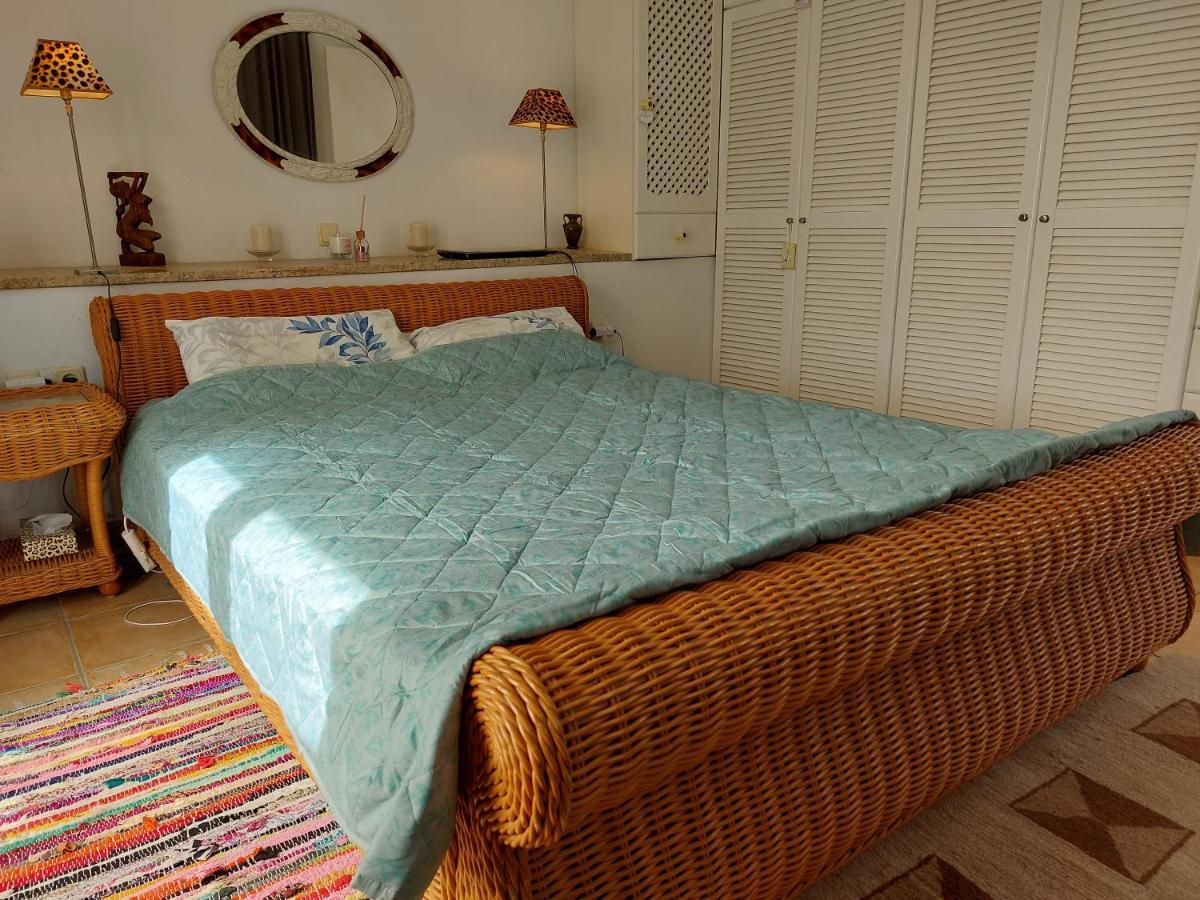 Tranquil Villa With Sea View In Ammopi Karpathos Amoopi Zewnętrze zdjęcie